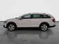 Škoda Octavia Scout, 2020
