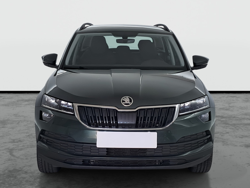 Škoda Karoq, 2019