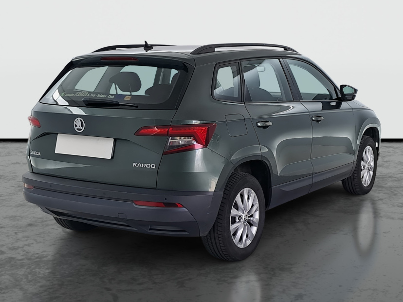 Škoda Karoq, 2019