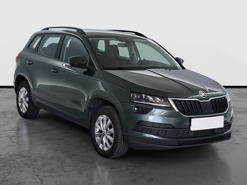 Škoda Karoq, 2019