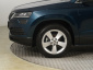 Škoda Karoq, 2021