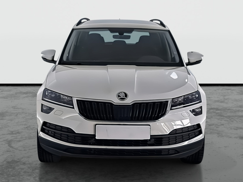 Škoda Karoq, 2020