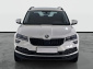 Škoda Karoq, 2020