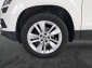 Škoda Karoq, 2020