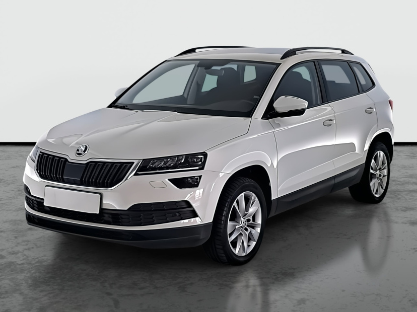 Škoda Karoq, 2020