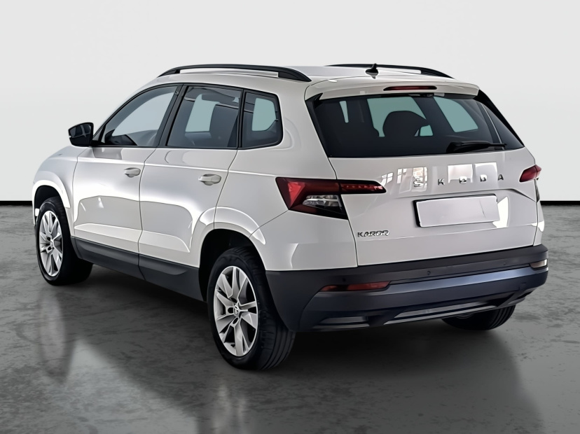 Škoda Karoq, 2020