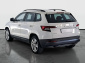 Škoda Karoq, 2020