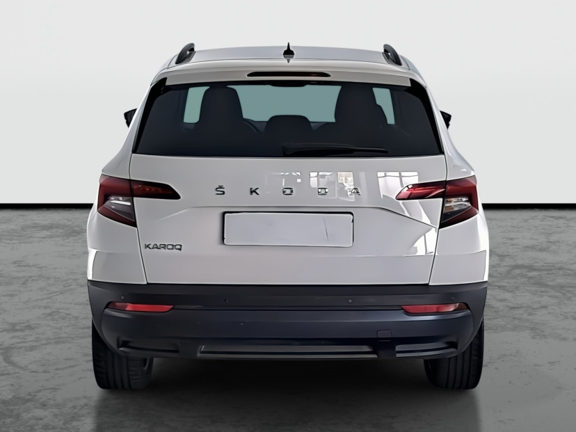 Škoda Karoq, 2020