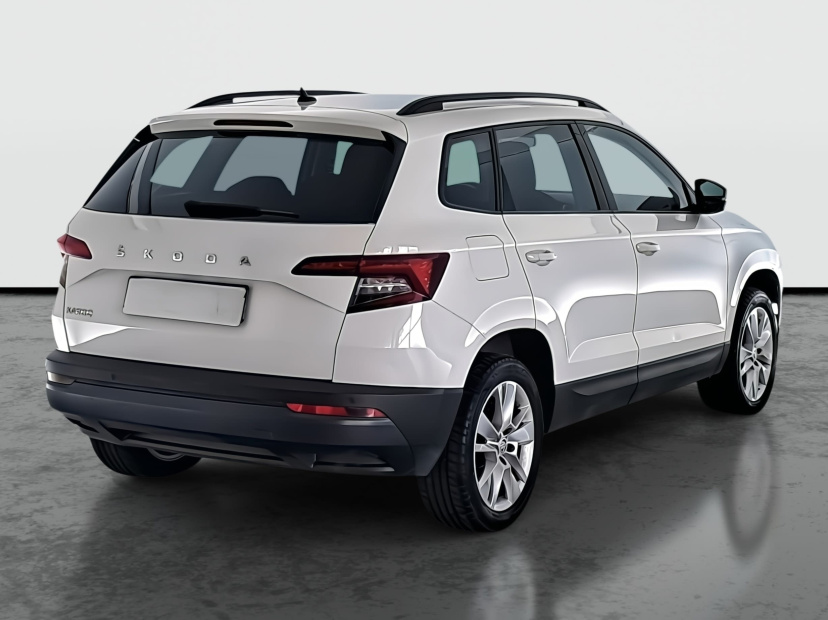 Škoda Karoq, 2020
