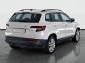 Škoda Karoq, 2020