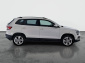 Škoda Karoq, 2020