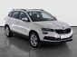 Škoda Karoq, 2020