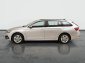 Škoda Octavia, 2023