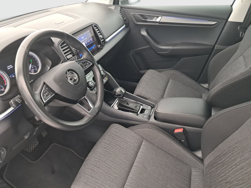 Škoda Karoq, 2020