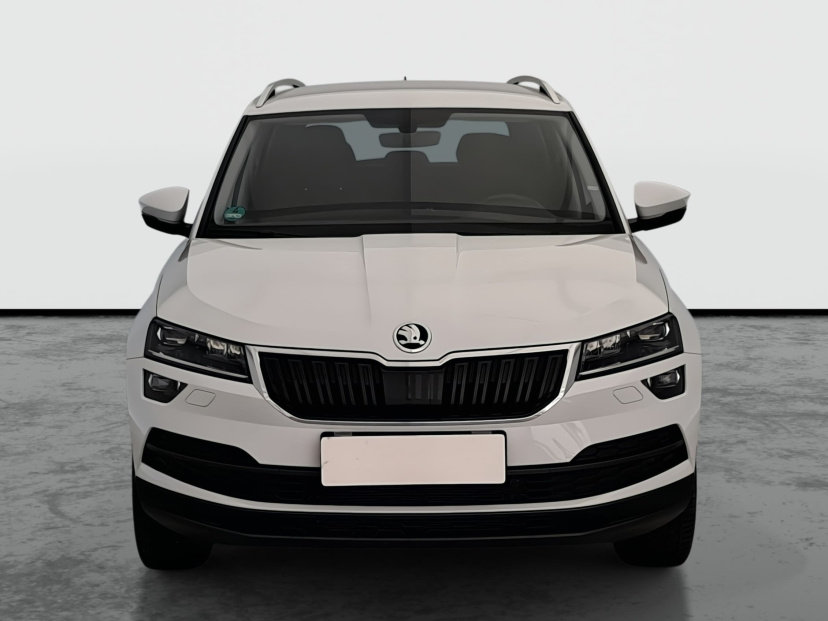 Škoda Karoq, 2020