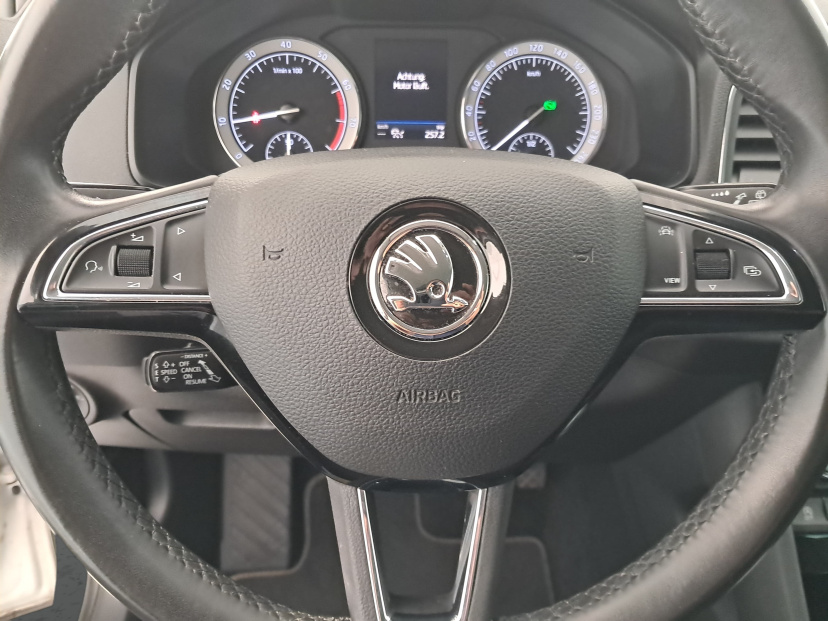 Škoda Karoq, 2020