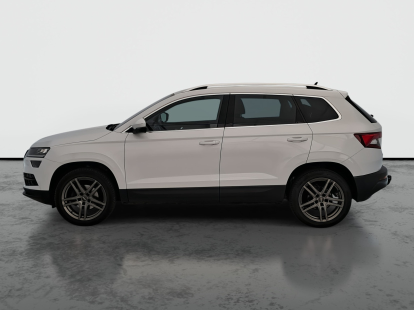 Škoda Karoq, 2020