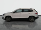 Škoda Karoq, 2020