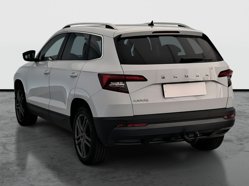 Škoda Karoq, 2020