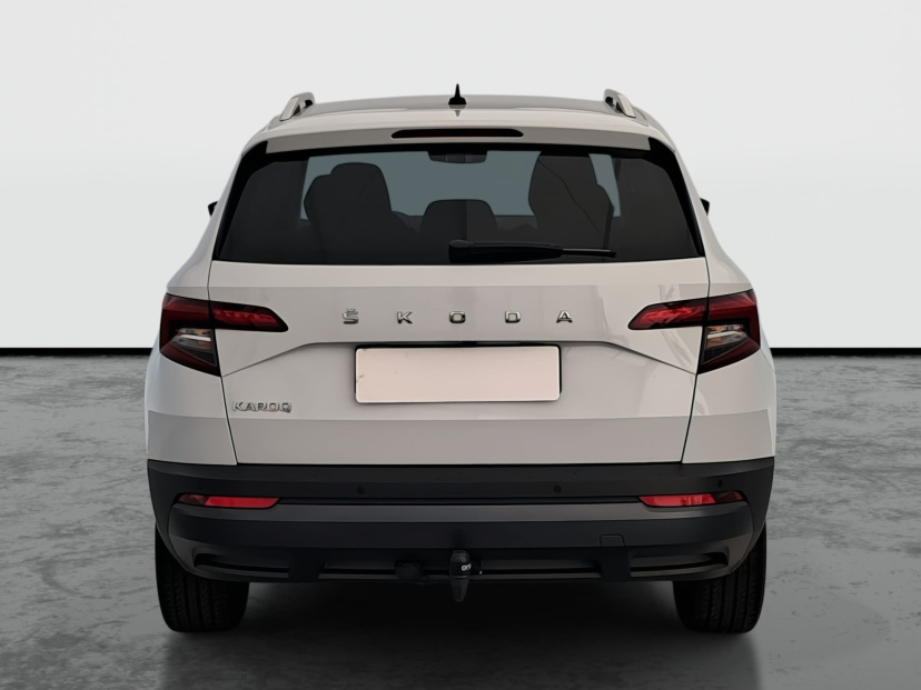 Škoda Karoq, 2020