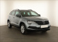 Škoda Karoq, 2021