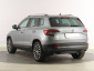 Škoda Karoq, 2019