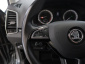 Škoda Karoq, 2019