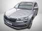 Škoda Karoq, 2019