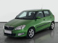 Škoda Fabia, 2011