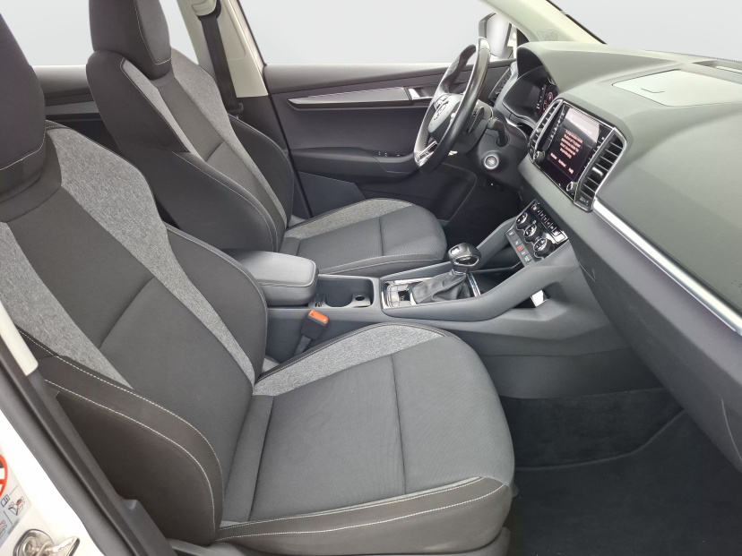Škoda Karoq, 2020