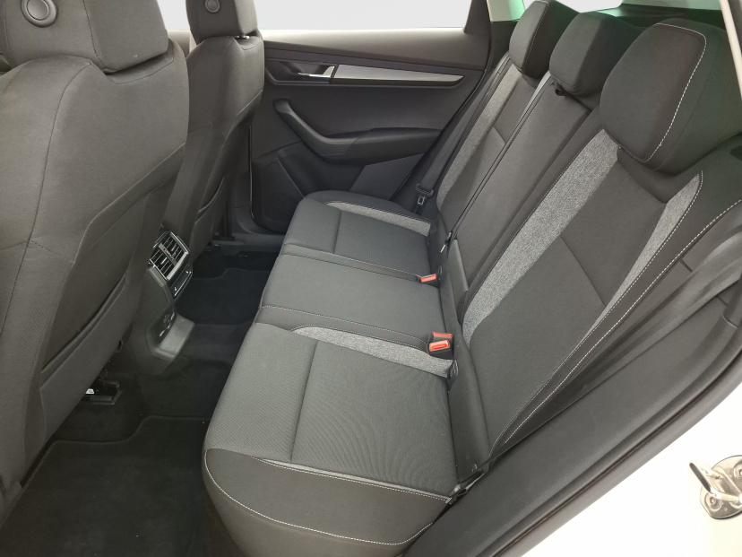 Škoda Karoq, 2020