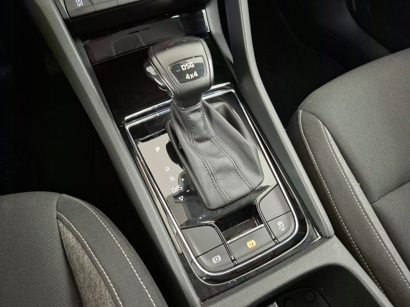 Škoda Karoq, 2020