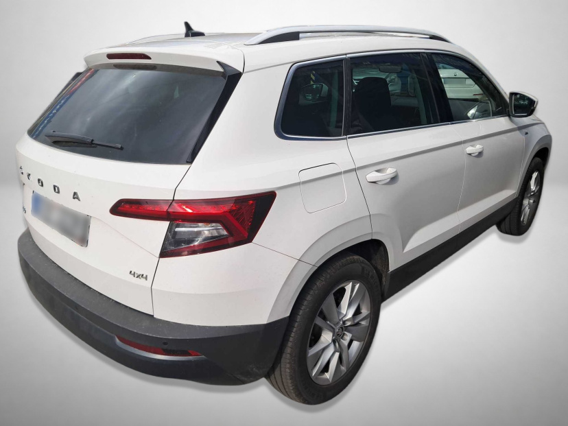 Škoda Karoq, 2020