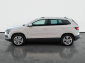 Škoda Karoq, 2020