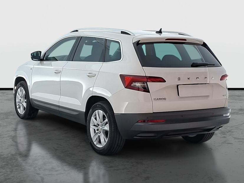 Škoda Karoq, 2020