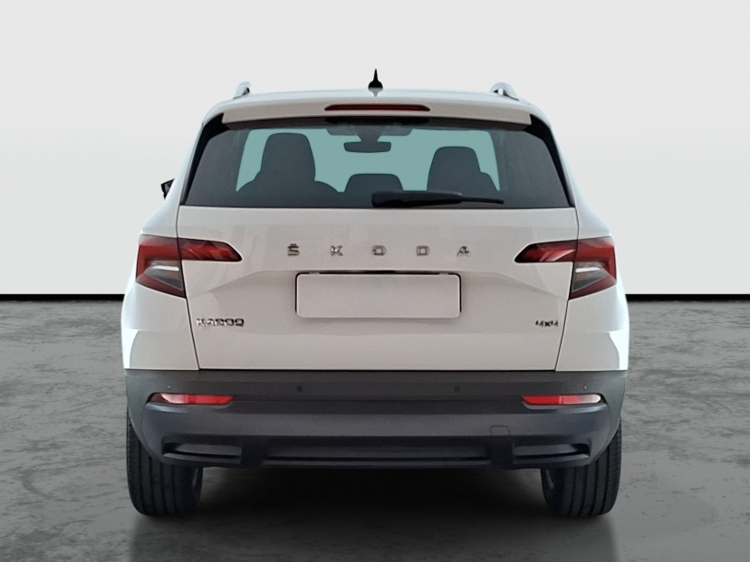 Škoda Karoq, 2020