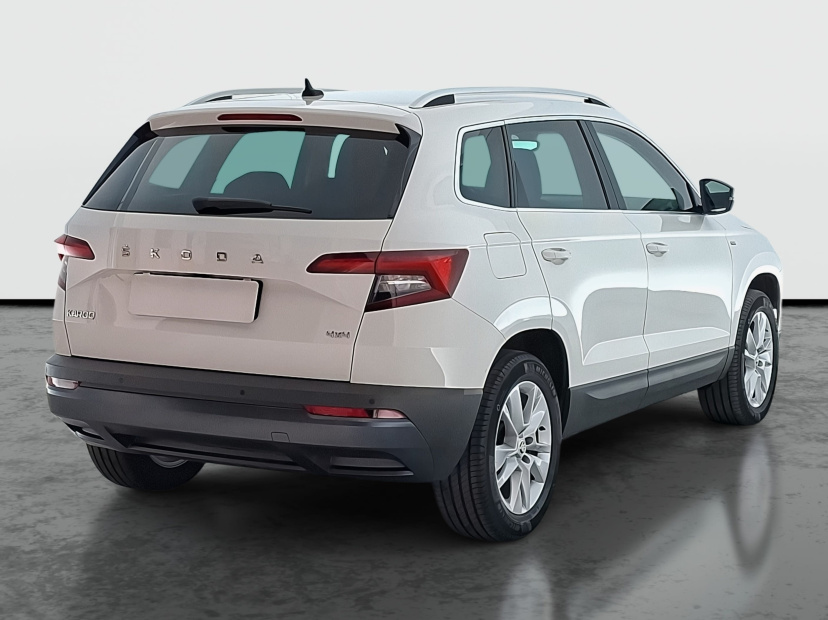 Škoda Karoq, 2020