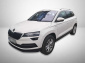 Škoda Karoq, 2020