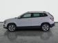 Škoda Karoq, 2019