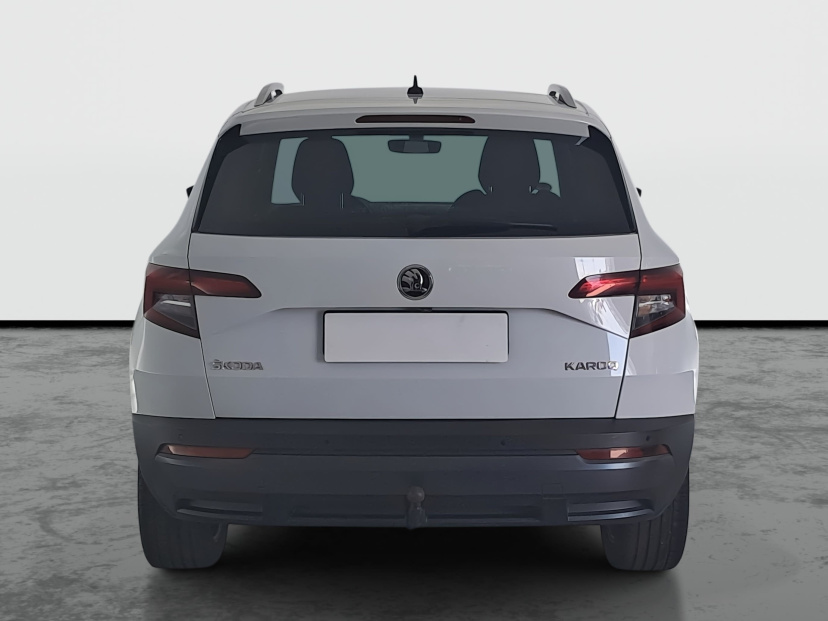 Škoda Karoq, 2019
