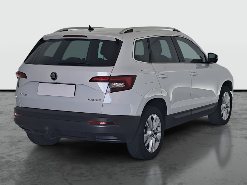 Škoda Karoq, 2019
