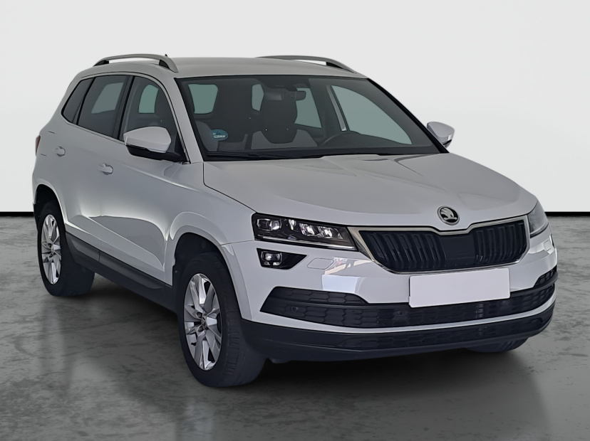 Škoda Karoq, 2019