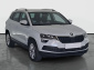 Škoda Karoq, 2019