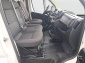 Toyota ProAce Max, 2025