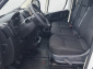Toyota ProAce Max, 2025