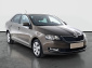 Škoda Rapid, 2019