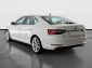 Škoda Superb, 2019