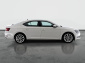 Škoda Superb, 2019