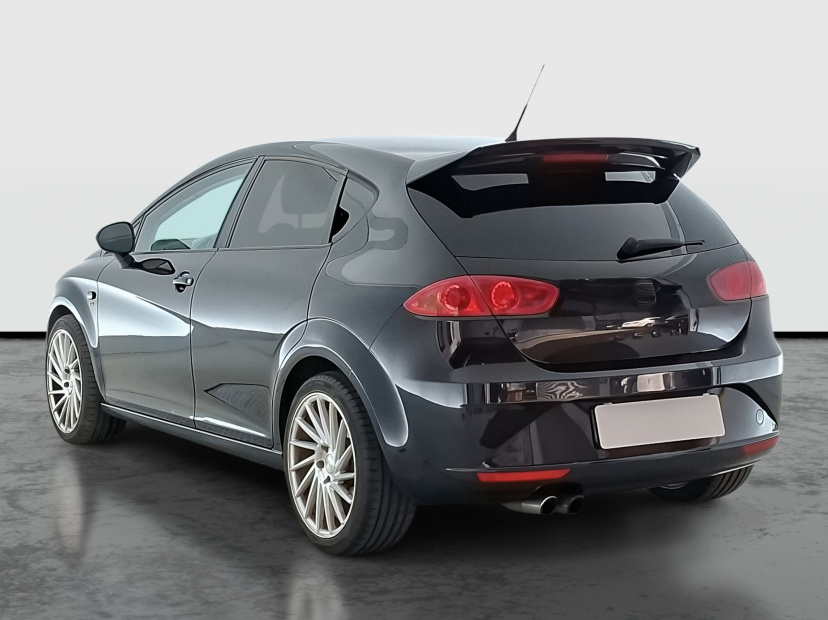 Seat Leon, 2010