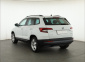 Škoda Karoq, 2019